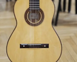 zeyu li guitars guitar photo